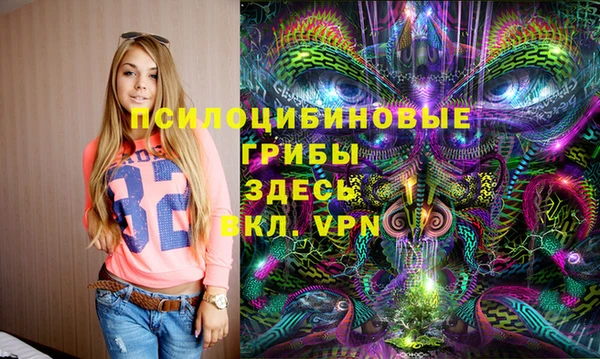 дмт Балахна