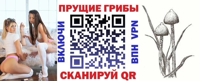как найти   Гремячинск  Галлюциногенные грибы GOLDEN TEACHER 